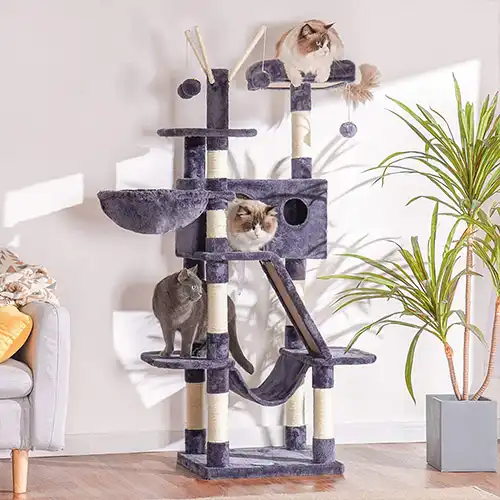 Tall multi-level Cat Tree shown in a home setting